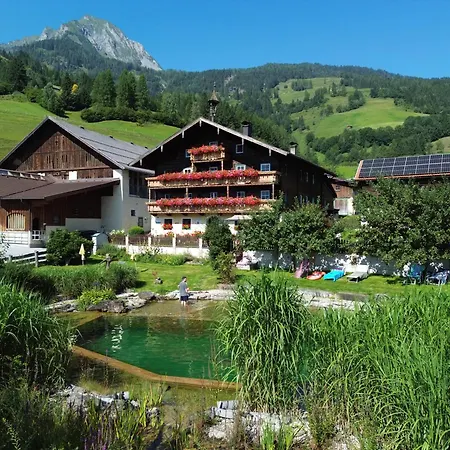 Amosergut Daire Dorfgastein